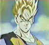 trunks-11.jpg (12640 byte)